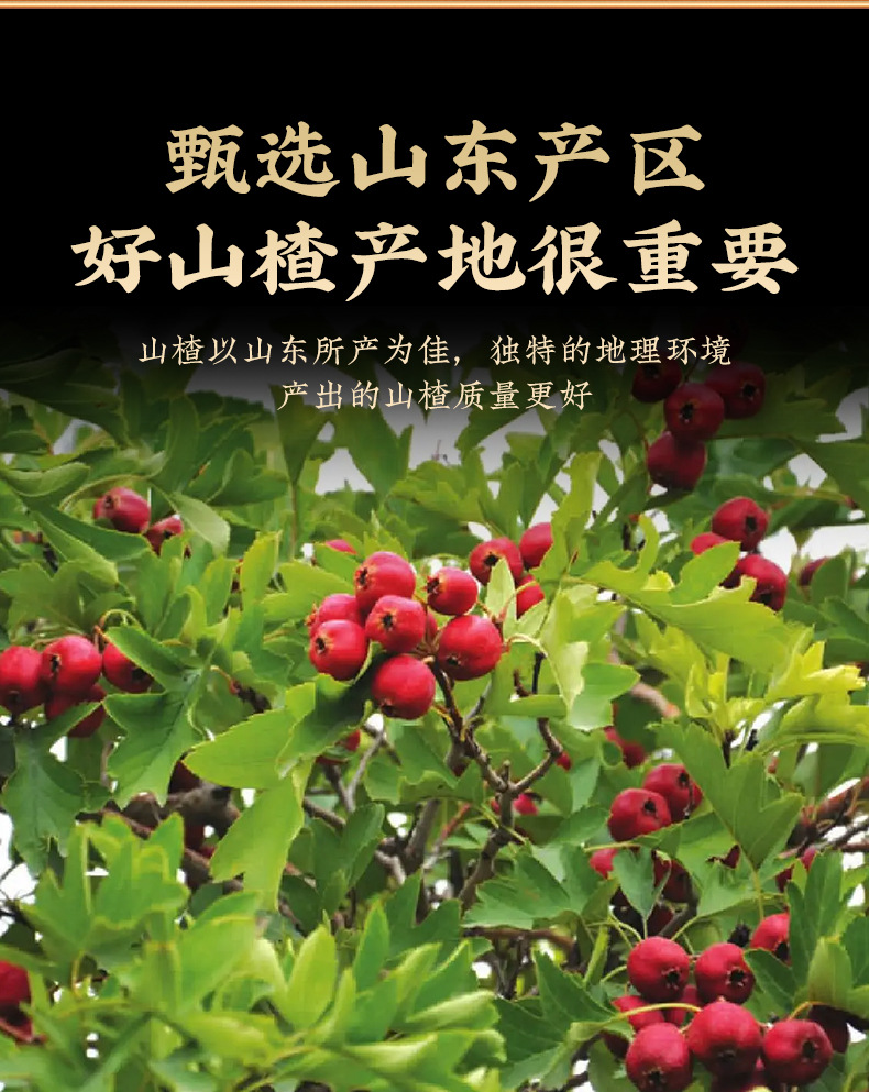 Hawthorn Berry Powder (Crataegus pinnatifida) — Food-Herb Botanical Powder, 100g Jar key features