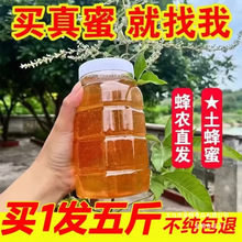 2斤洋槐蜜天然枣花蜜农家自产槐花蜜百花蜂蜜野生土蜂蜜峰密