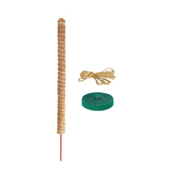 Cross-border plant support stand set coconut palm bendable moss pole…
