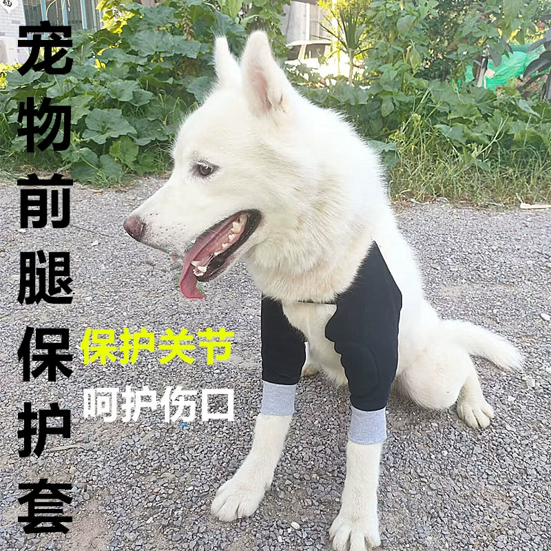 Домашнее животное колено Brace Собака локоть одежда Собака колено Brace леггинсы Собака теплая собака Анти-лизать колено