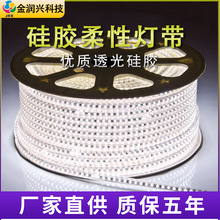 工厂直销超亮220V高压装修灯带 质保两年防水造型的3014柔性灯带