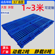 浙江工厂直销2019大型定制塑料栈板1523网格托盘2618双面叉车卡板