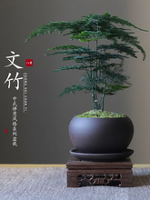 ��������ֲ���҃ȿ͏d��ʽ�U���辰���B�Gֲ�k���Ҕ[�����⻨�ܟo