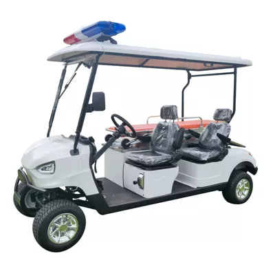 Gaofe – Auto Parts and Accessories Electric Golf