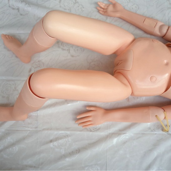 ��Ƥ��� Ů�Ի�������ģ�� ҽѧ����ģ���˻�ʿʵϰģ�� ����