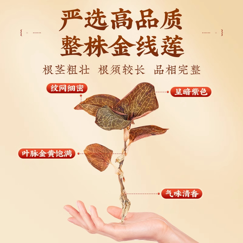 Anoectochilus ガーネット卸売福建省南京土楼林下植え乾燥品半斤 0.5kg ホテル直接承認シチューポット健康|undefined