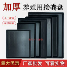 �����бP���\�ӽ���P�Ӻ������û\�u�����Bֳ���|�L���μS�P