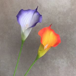 EV��֧���R��ɏ���滨 �Ҿӻ�ƿ�b廨���߼ٻ���Y�þƵ껨��