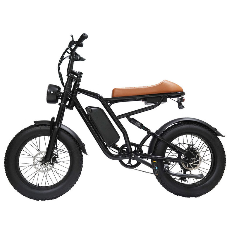 Best-Selling in Us Warehouse 20inch Electric Bicycle Off-Road Snow Bike Lithium Battery Fat Tire Beach Bike Cross-Border Foreign Trade Manufacturer