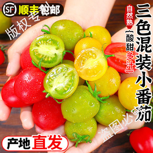 �Fժ�}Ů����ɫ���bС�������r��ɫС������ɫ���С������S���]