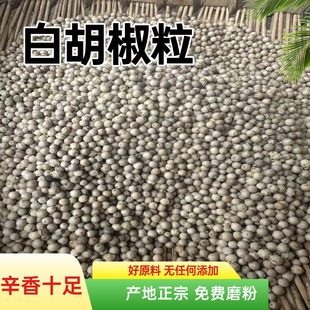 ���Ϻ������|�׺����w���{ζȥ�������{ζ��ԭ�ϬF؛���l����ă�