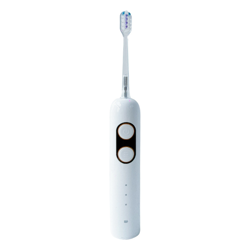 Wholesale S1 cepillo de dientes eléctrico de barrido de vibración portátil conjunto de regalos familiares recargable cepillo de dientes eléctrico de pelo suave impermeable