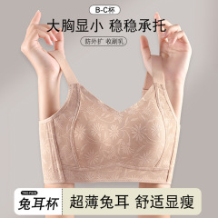超薄下着の女性の大きい胸は小さくて、スチールリングの調整型のウサギの耳は副乳を収めて垂れ下がることを防止します。