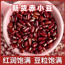 ��С���L���t���ඹ��޲���ײ������r������s�Z���b�����ඹ��