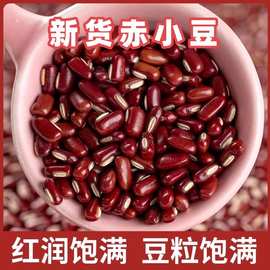 赤小豆长粒红豆赤豆搭薏仁米茶煮粥农家五谷杂粮袋装煮煲粥豆子