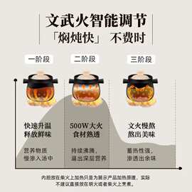 批发小熊电砂锅养生煮粥快速焖炖锅分体式高温陶瓷双锅DSG-B40J3