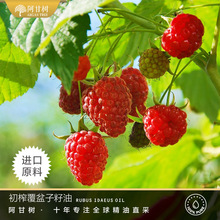 ���ʘ��ե���������� Rubus idaeus ֲ���ͻ��A�ͬF؛���l