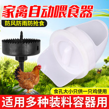 跨境供货鸡料槽喂食器鸡鸭自动喂食器家禽喂料器料桶喂鸡用饲料口
