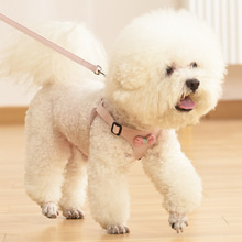 狗狗胸背韩版网红心式牵引绳小型犬泰迪比熊博美带遛绳子直销厂家