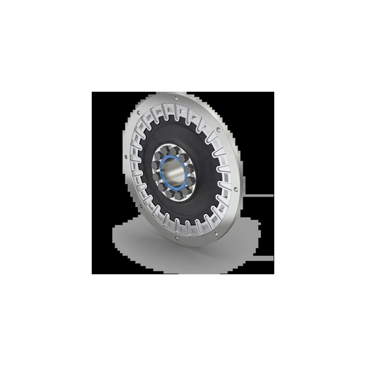 德国厂家reich-kupplungen 联轴器用于机械重工行业ACH3NN