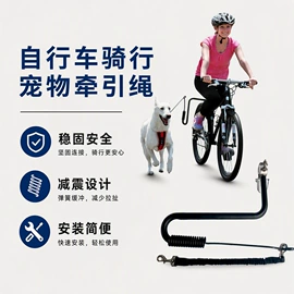 自行车装饰;自行车灯;修车工具