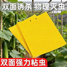 �p�揊��ճ�x�及�������p��ճ�x���҃��T�x�߲˴���ᘷ��@�S��