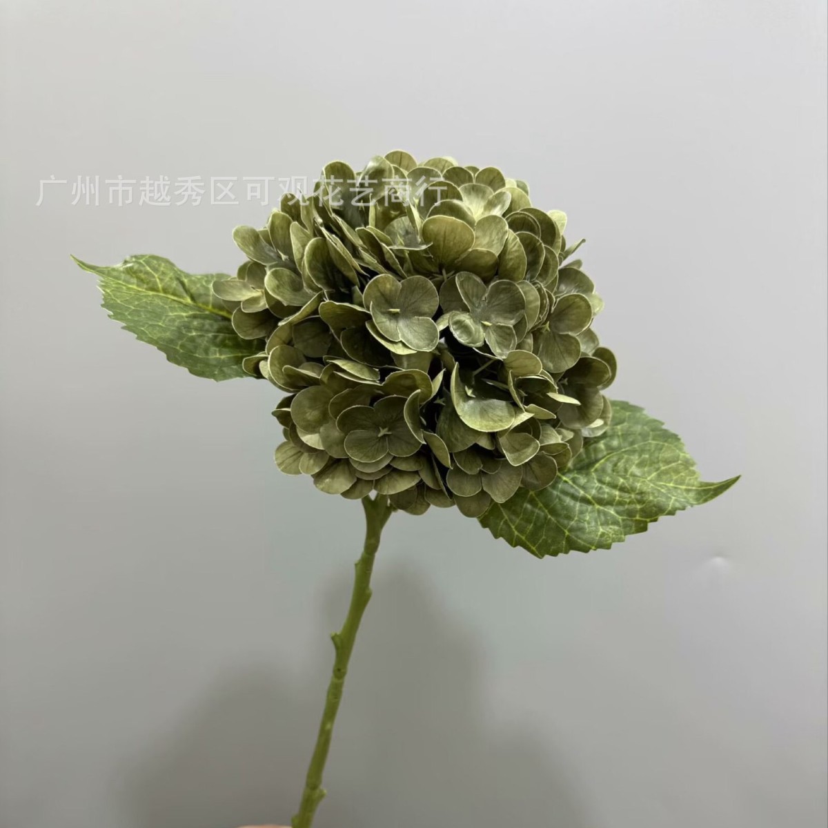 짙은 녹색