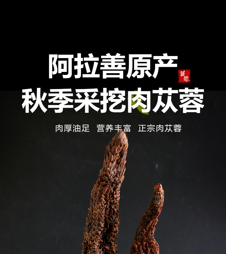 Alxa Cistanche Whole Root 500g Rou Cong Rong Dried Herbal Decoction Pieces for Traditional Wellness overview