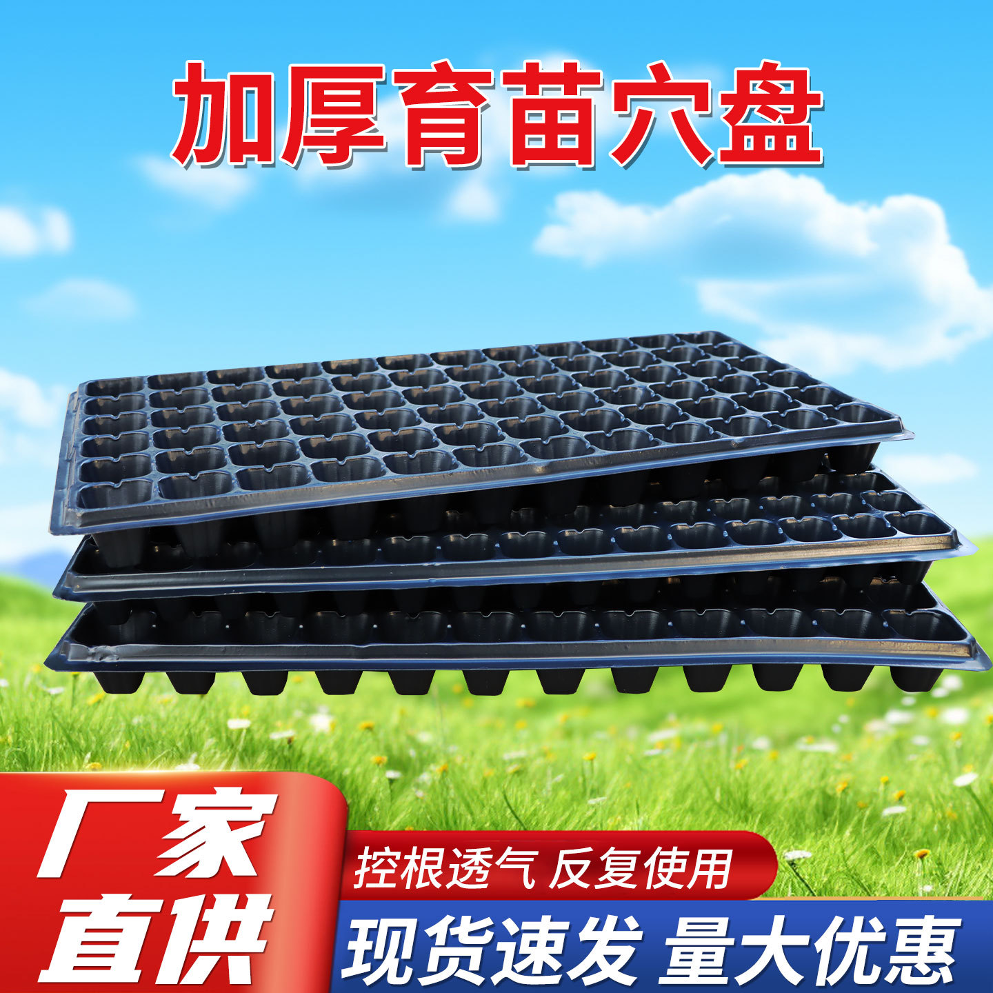 育苗盆托盘加深加厚辣椒蔬菜塑料秧盘多肉育苗托盘塑料育苗盘