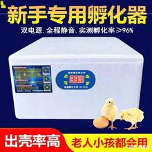 水床孵化器小鸡的鸡蛋机器小型家用敷育雏保温箱保暖鹌鹑电动夫