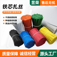 批发包塑扎带 圆形包胶扎丝带园林包胶铁线 0.55mm镀锌铁芯捆扎线