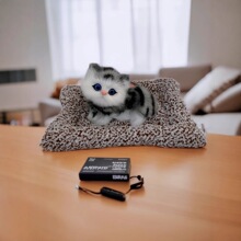 ë�q����؈������̿�|�ӷ��池��؈��܇�[�������՚�ҾӶYƷ�羳