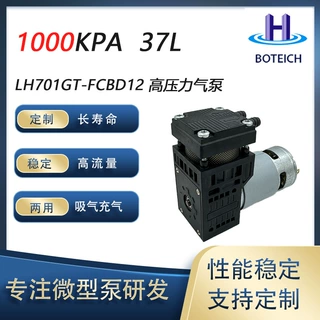 高压力高流量12v 24v活塞泵压缩机清洗设备喷涂增压900kpa -80kpa