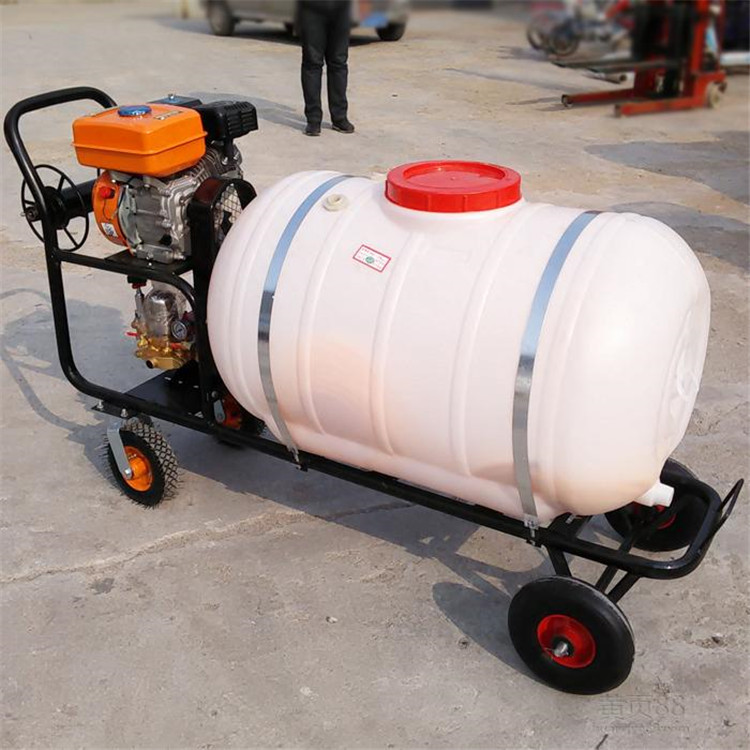花卉灭虫喷雾器 果树汽油打药机 喷药机批发价格
