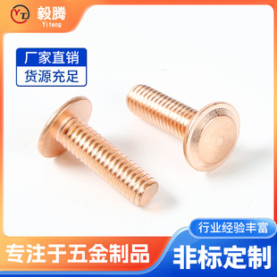 �S�Ҷ���ֲ���˨�����ݽz�c��ֲ��ᔆ��cֲ���˨���l