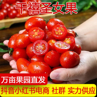 �a��ֱ�lǧ���}Ů������2̖������С��������С���t�������ЋDˮ