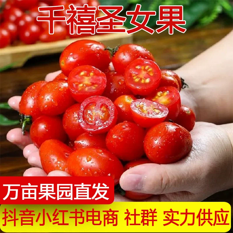 Прямая поставка с места происхождения, томаты-груши Millennium, сладкие и зеленые №2, томаты-груши Sugar Amber, свежие томаты для сезонного потребления, подходят для беременных.