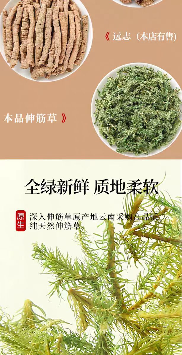 Shen Jin Cao (Lycopodium clavatum) — Dried Clubmoss Herb for Foot Soaks & Herbal Wine key features