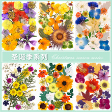干花压花diy材料包押花滴胶相框真花植物标本书签贴脸妆圣诞季
