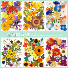 ドライフラワーエンボスdiy材料バッグ押し花ドロップフォトフレーム本物の花の植物のサンプルブックステッカーフェイクレザーステッカー素材