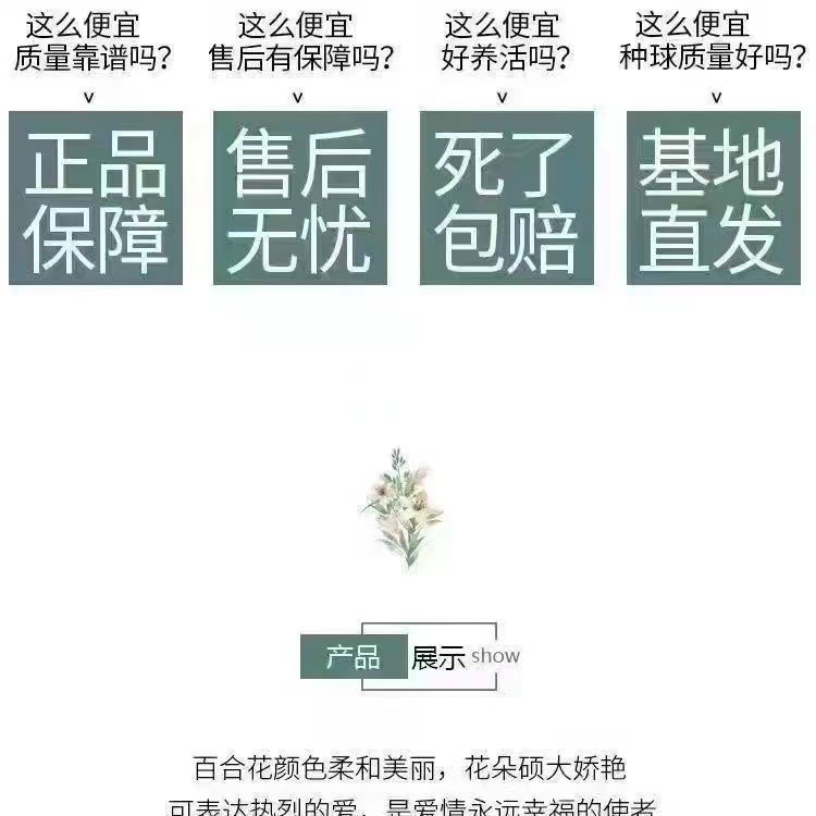 c745943b-1c9d-4aaf-b757-508d61f1437d.jpe