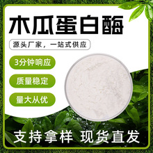 木瓜蛋白酶 白色 易溶于水 淡木瓜香 干燥避光储存 现货批发