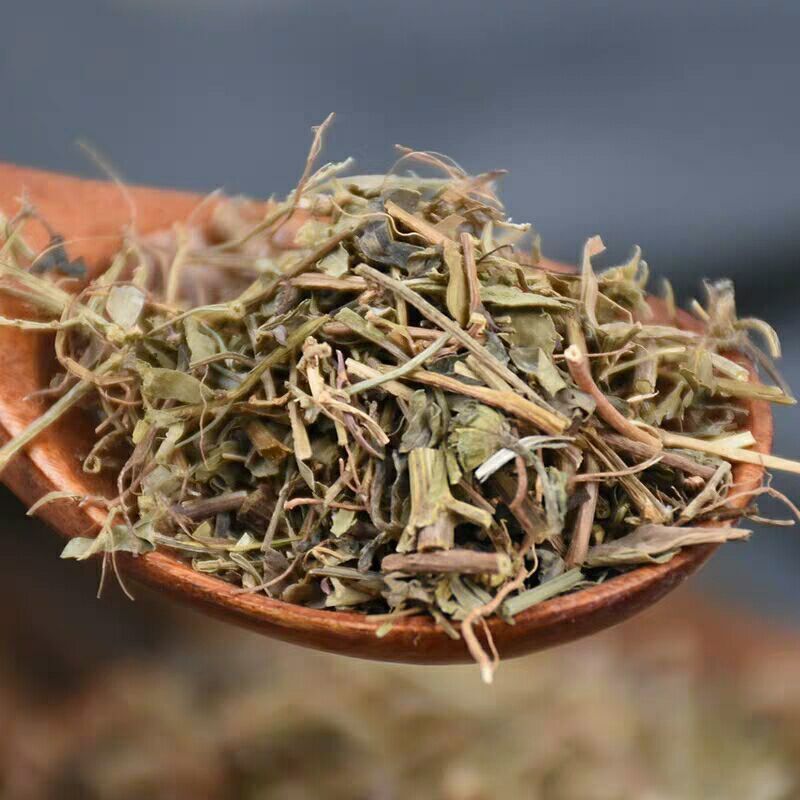Yexiazhu Leaf 500g Dried Phyllanthus Urinaria Whole Herb Traditional TCM Herbal Tea Ingredient specifications