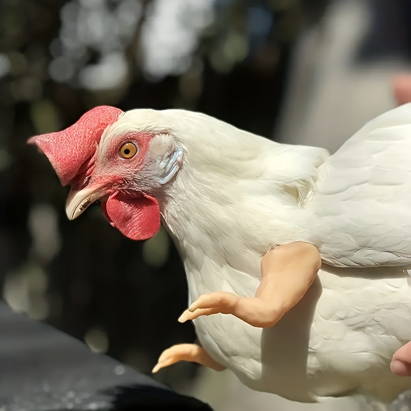 beba10786fce9593e5fc20e781da9f