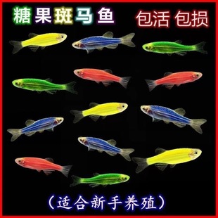 ���R�~�^�pС�~�ɹ�Ꭷ�~Ⱥ���~��ˮ�߲��~��ˮ�~���B���������~