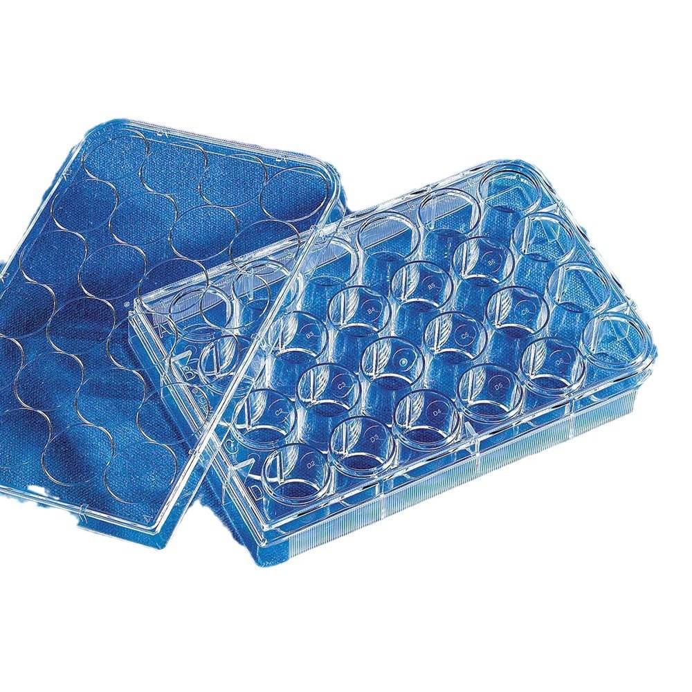 Corning康宁3596 96孔细胞培养板 TC表面 标准透明板 平底带盖