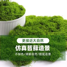 ����̦�\��Ƥ�쾰��������̦΢���^���Ô[����ƺ�辰��������b�
