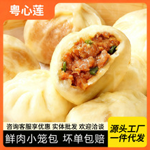 廣式早茶點心小籠包兒童早餐半成品加熱即食風味速凍包子批發包郵