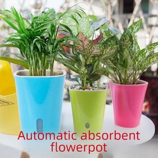 Candy Color Plastic Lazy Flower Pot Visual Water Level Absorbent Pot Green Rose Green Plant Flower Pot Lazy Man Absorbent Flower Pot