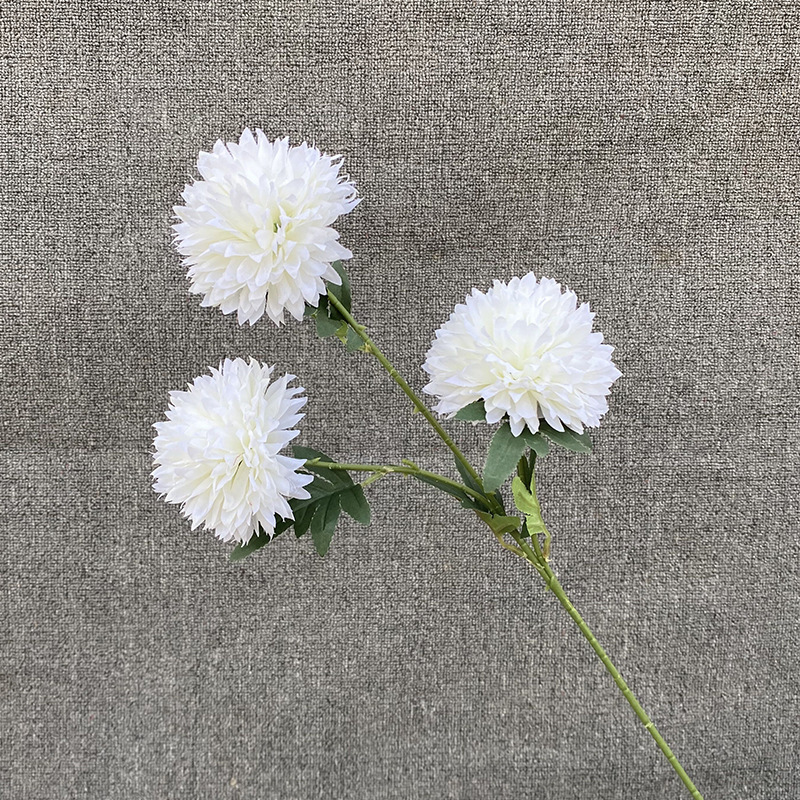 3 forks of large dandelion white